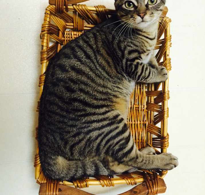 Photo of Elle