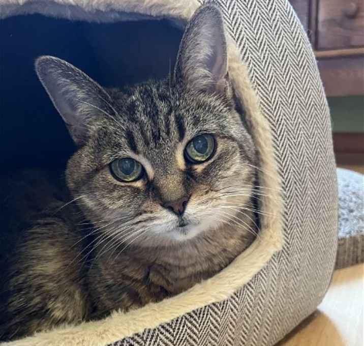 Photo of Mila