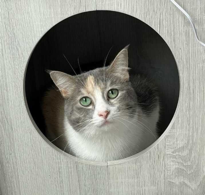 Photo of Lexi