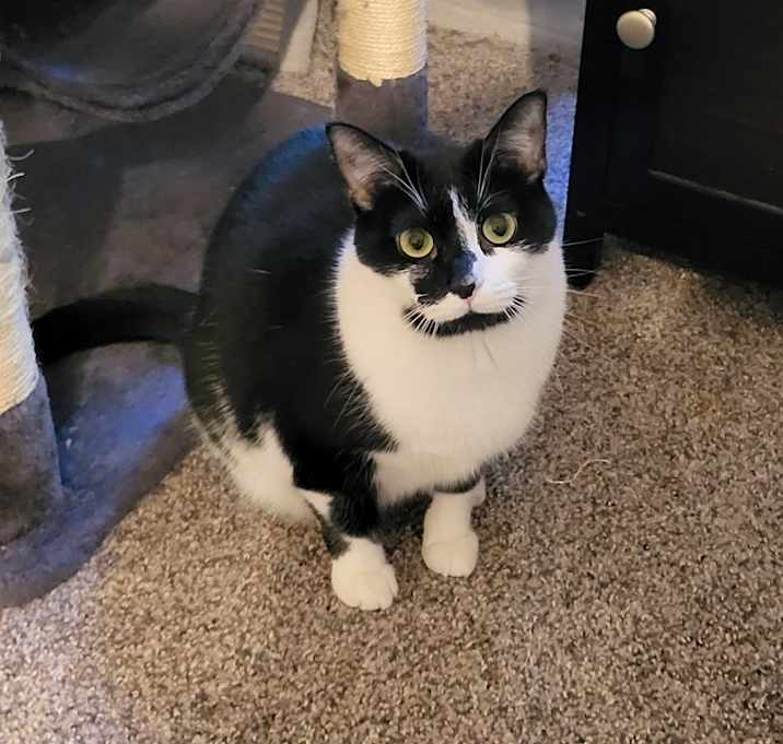 Photo of Candy Bean