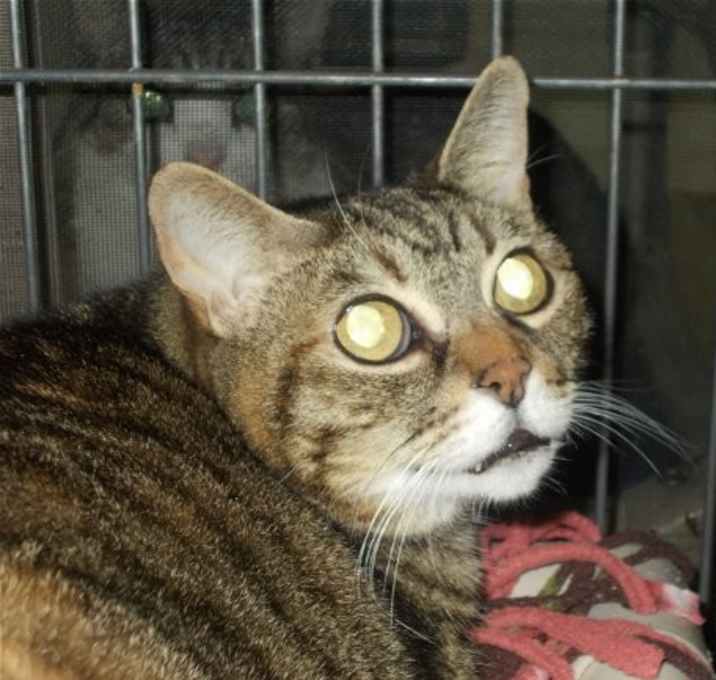 Photo of Nancy