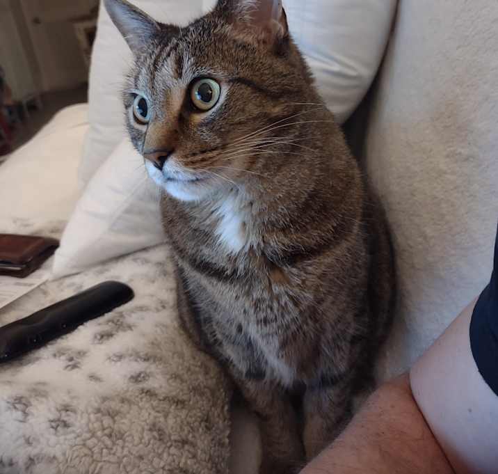Photo of Boo