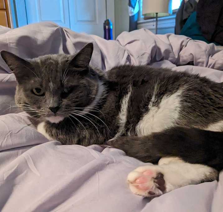 Photo of Maya