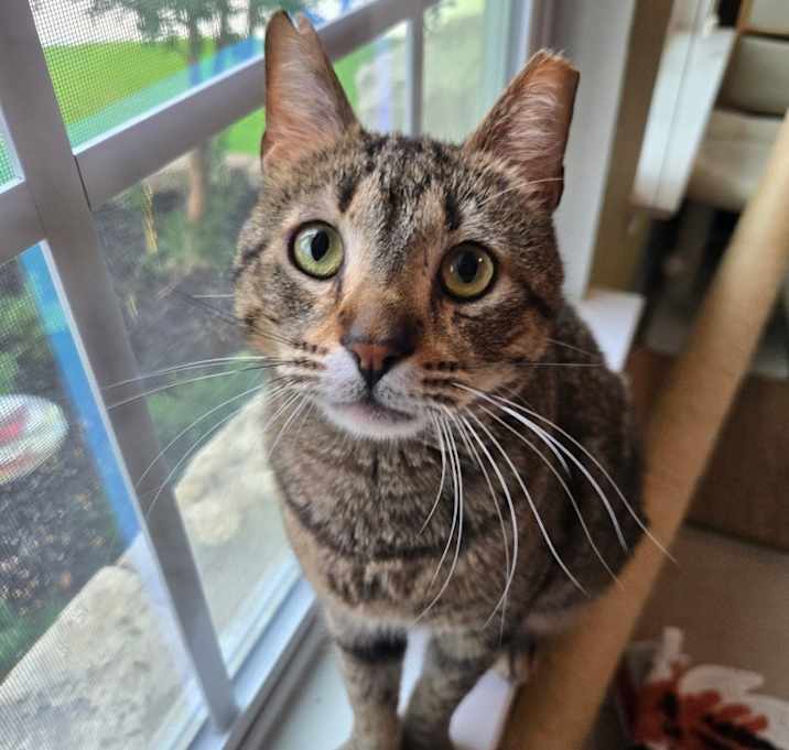 Photo of Tommy