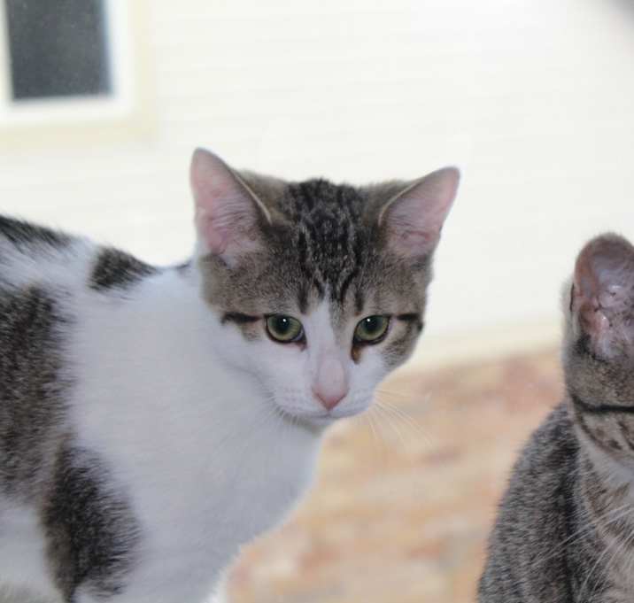 Photo of Cali & Joey