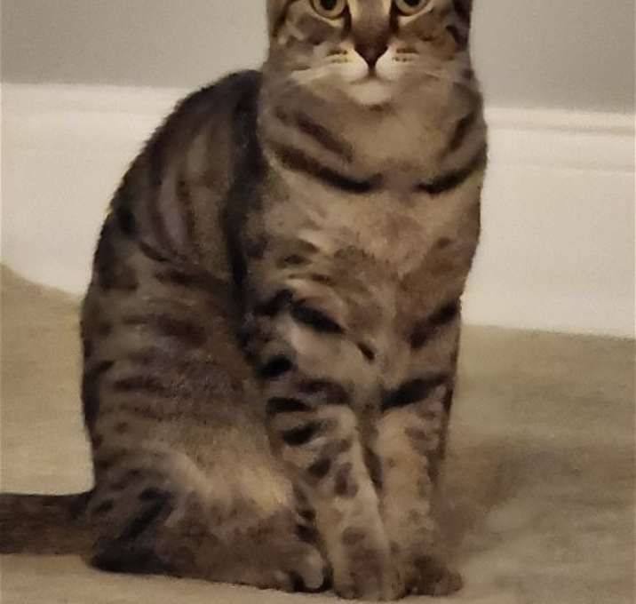 Photo of Musa