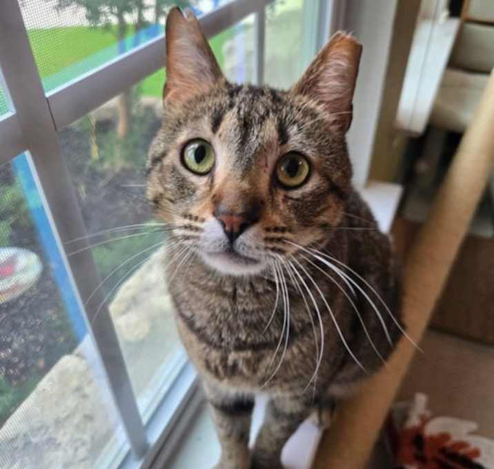 Photo of Tommy
