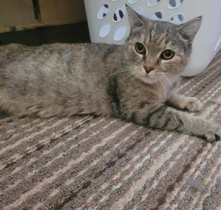 Photo of Hera