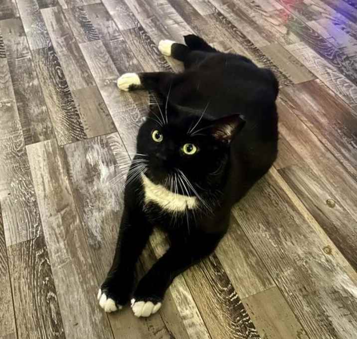 Photo of Junior