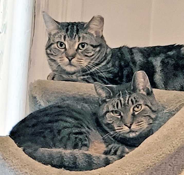 Photo of Cindy & Loretta