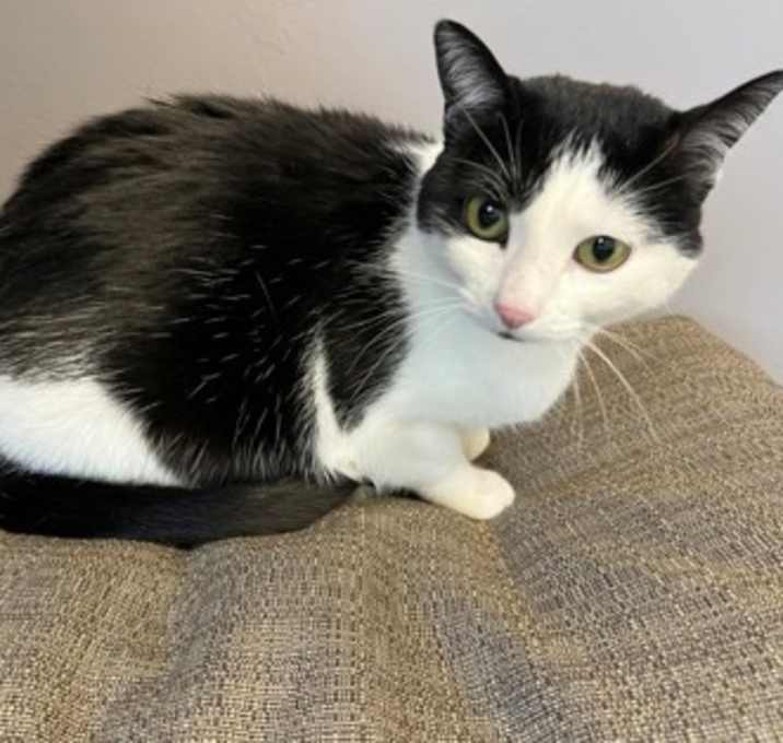 Photo of Lulu Belle