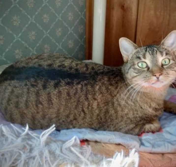Photo of Zera