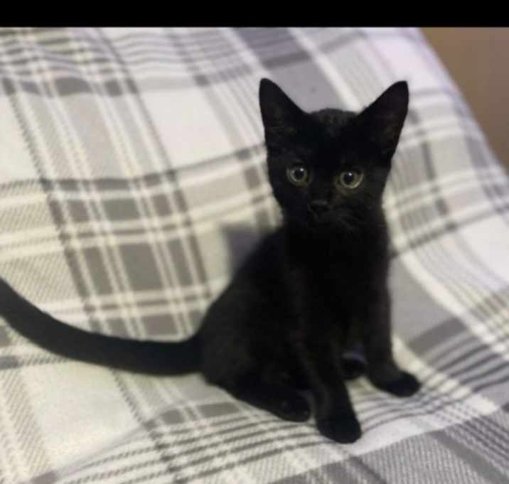 Photo of Carl