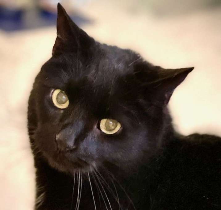Photo of Harold