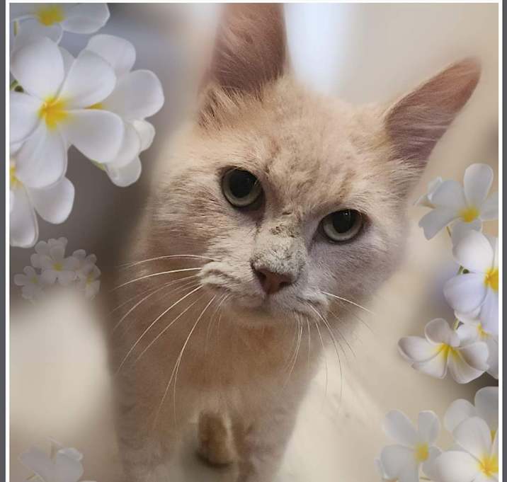 Photo of Jasper