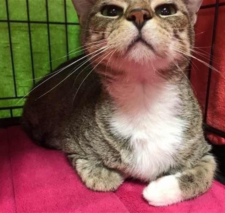 Photo of Duchess