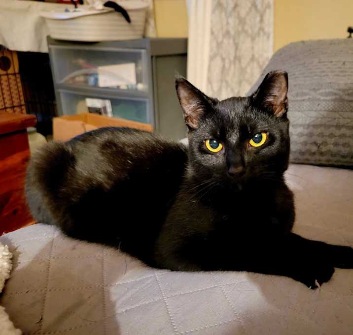 Photo of Roo