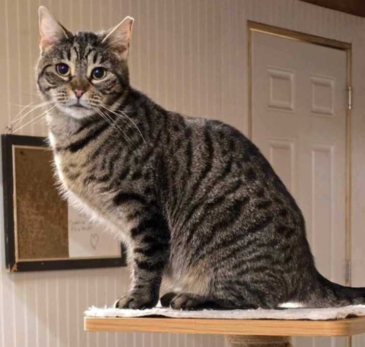Photo of Oakley