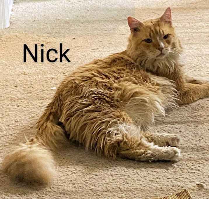 Photo of Nick