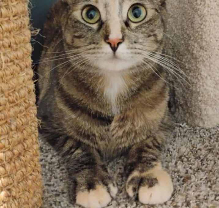 Photo of Ember
