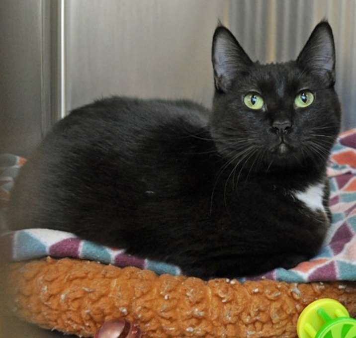 Photo of Persephone
