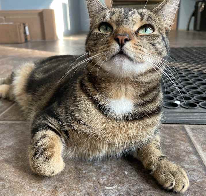 Photo of Topaz
