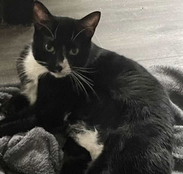 Photo of Zipper