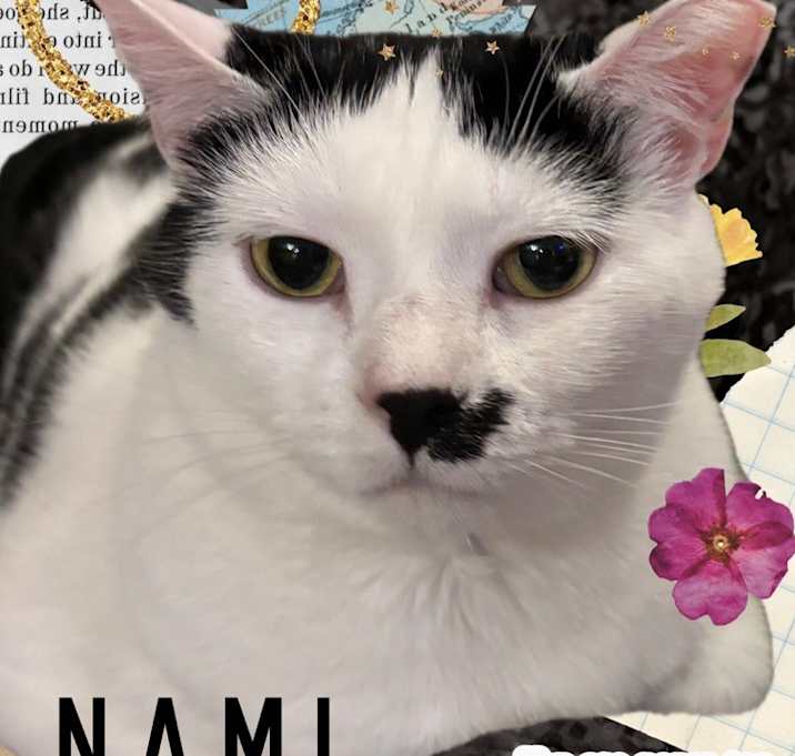 Photo of NAMI
