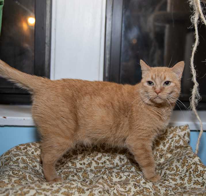 Photo of Holly