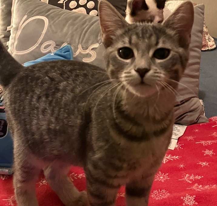 Photo of Martha