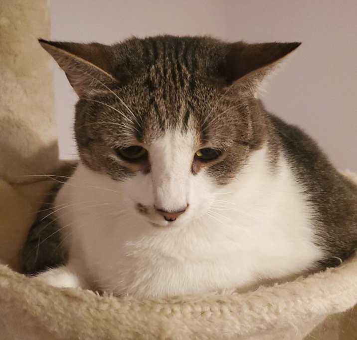 Photo of Delilah
