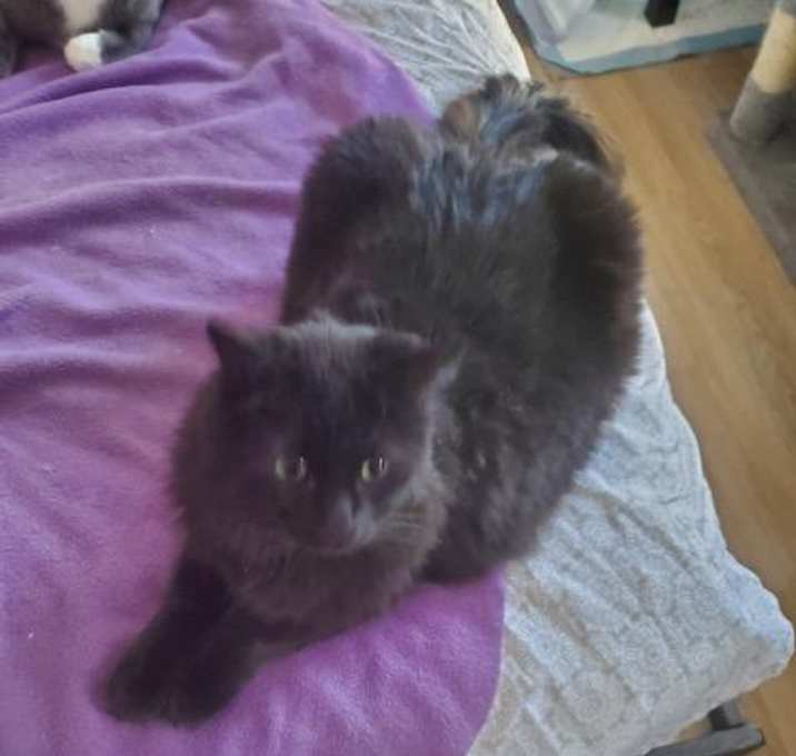 Photo of Precious