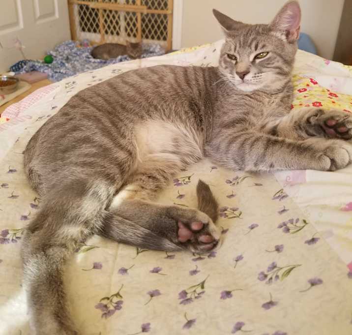Photo of Duke