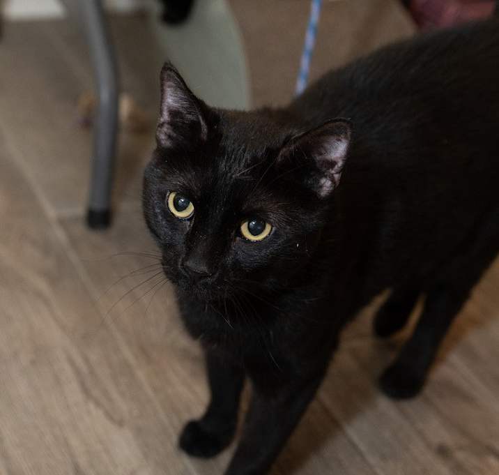 Photo of Spirit