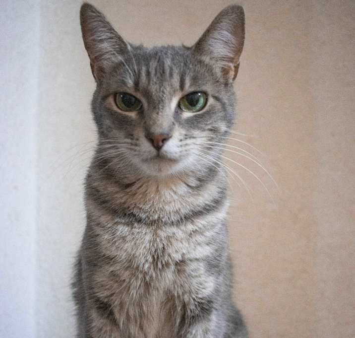 Photo of Mara