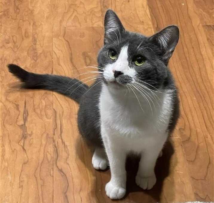 Photo of Anya