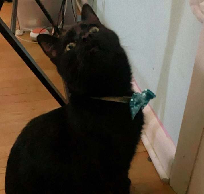 Photo of Sprout