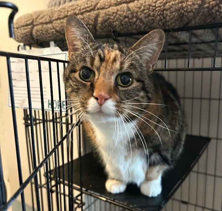 Photo of Maeve