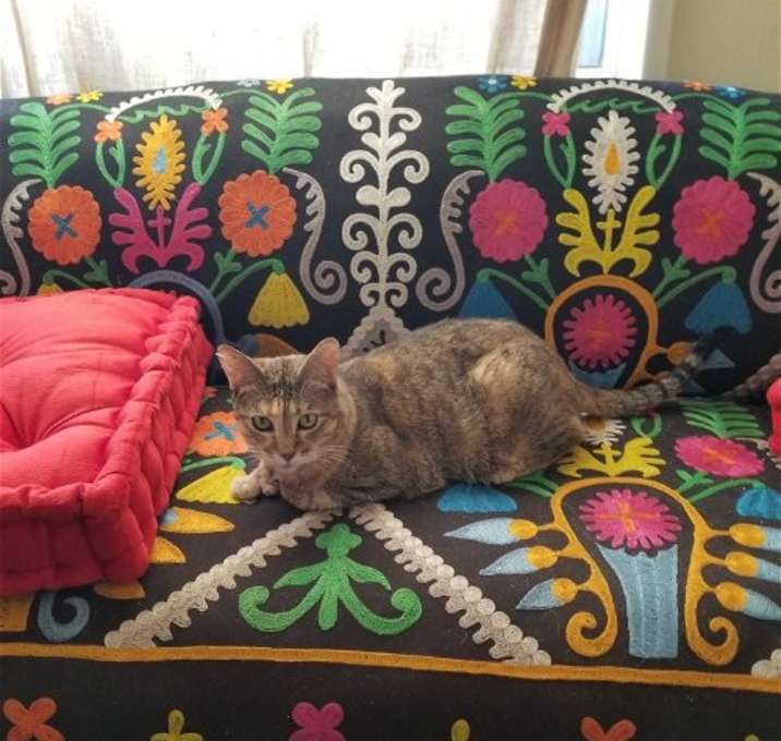 Photo of One lovable girl Lexi