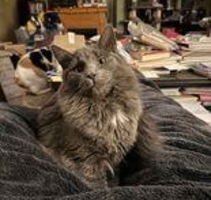 Photo of Thumper