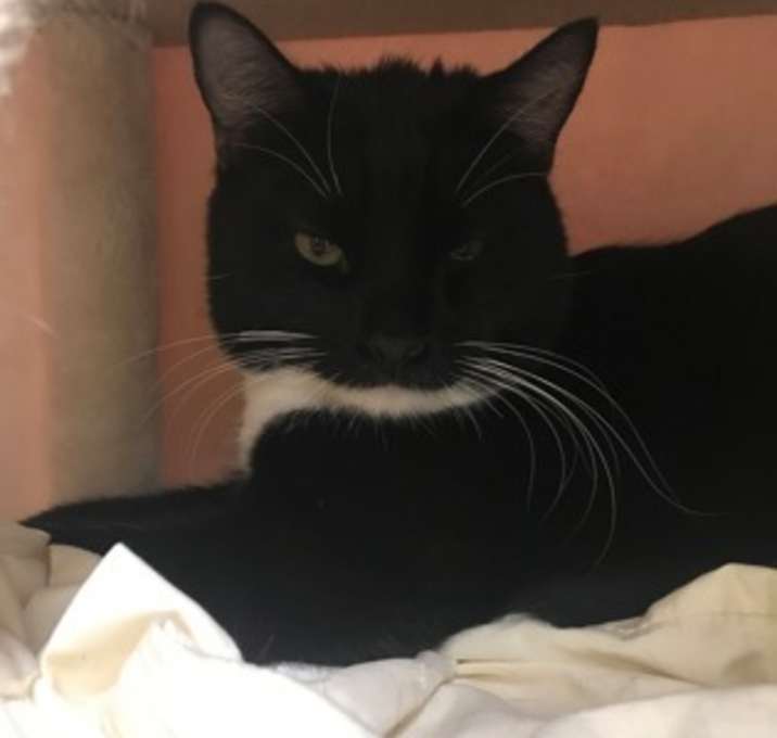 Photo of BOOTS