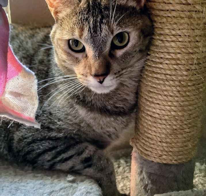 Photo of Echo