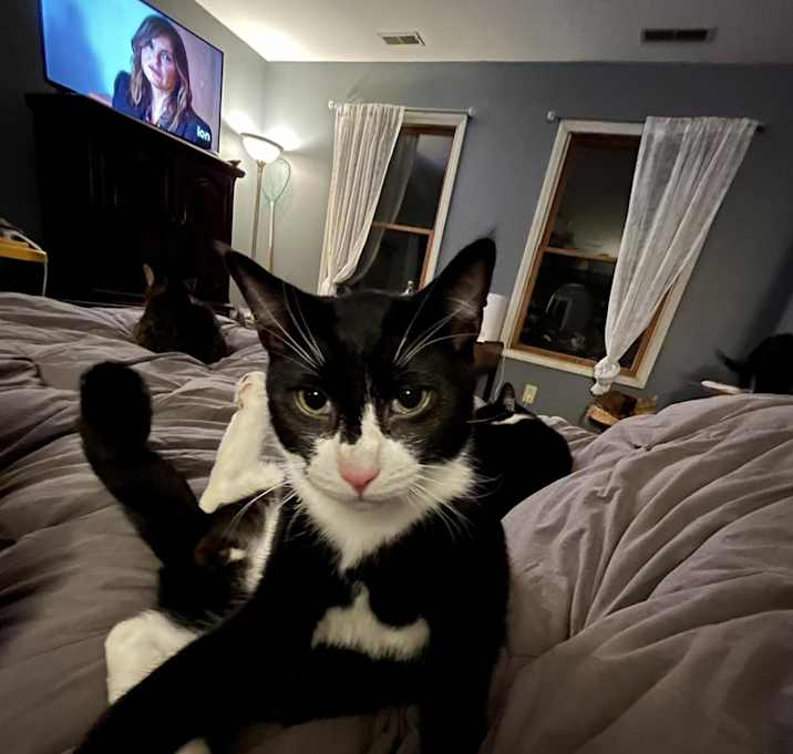 Photo of Duke