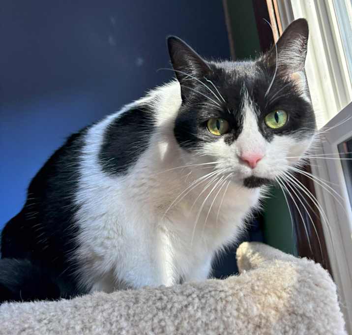 Photo of Zoey