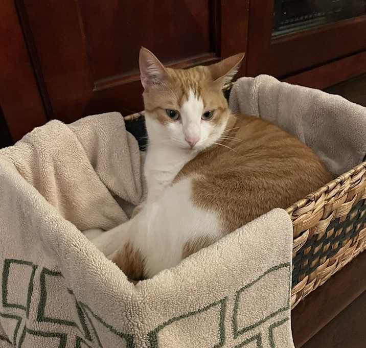 Photo of Zeke