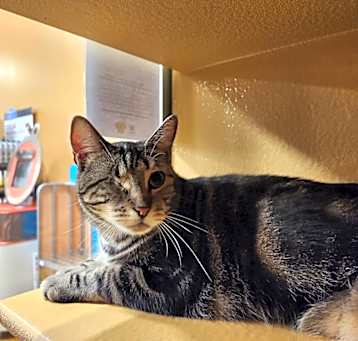 Photo of Stormy