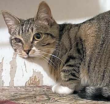 Photo of Emmie