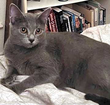 Photo of Sookie 6482