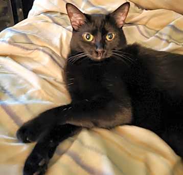 Photo of Sammie