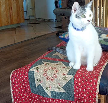 Photo of Binki